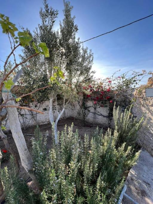 Le Petit Chalet. Essaouira